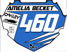 A Box Pro Plate Decal Sticker Can be made in blue for girls Yellow for Boys and red for Crusier Riders It can also be made to fit a Box min plate.